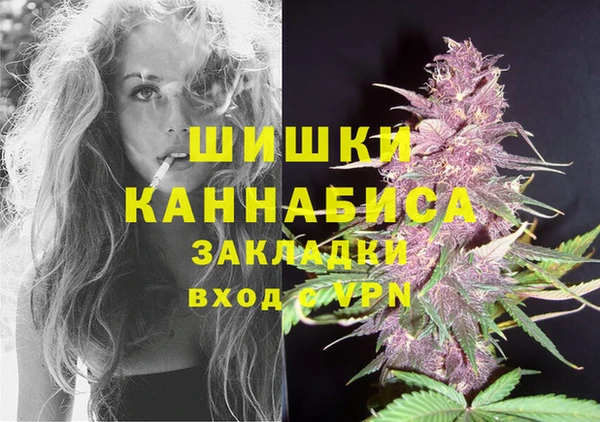 прущие грибы Киренск