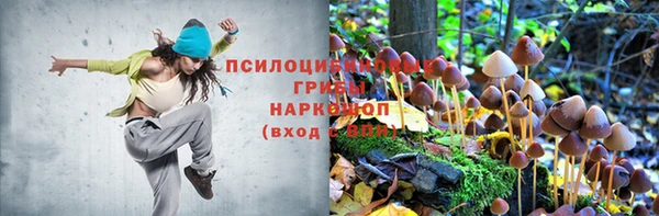 мескалин Абаза
